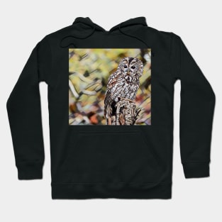 owl Hoodie